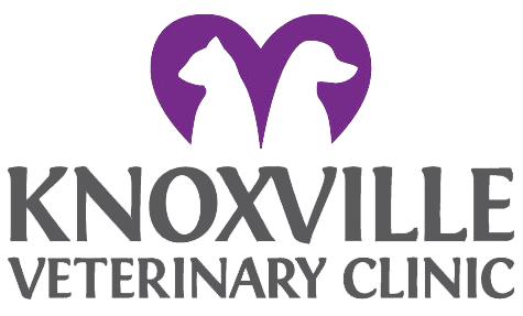 Knoxville Veterinary Clinic